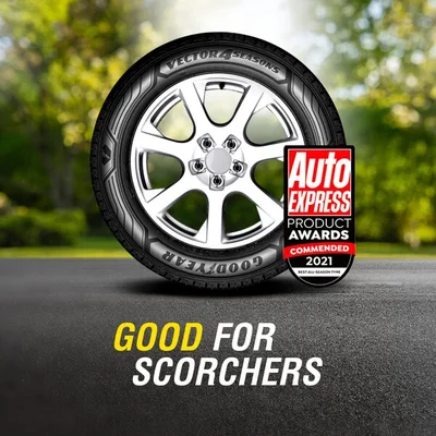 Good for Scorchers Vector 4 Seasons