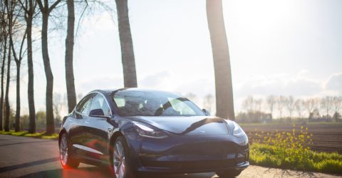 Black Tesla Electric Vehicle Parked near fields and in front of trees