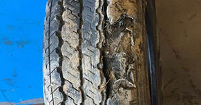 Tyre Wear on Outside Edge: Is It Legal & What Causes It? - Insure 2 Drive